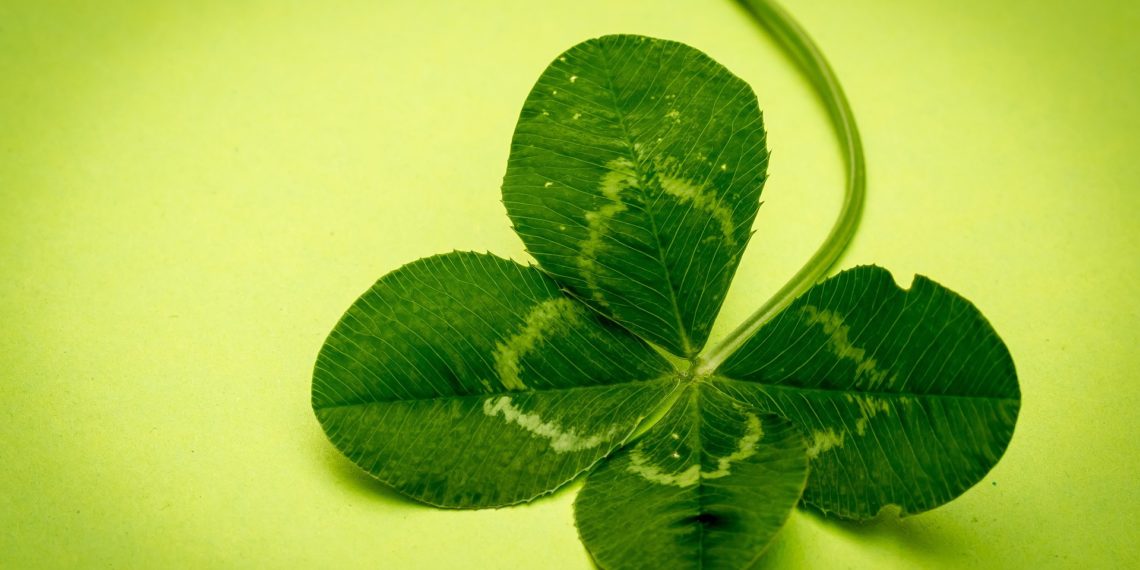 Geluksroute Haarlem 1 en 2 februari