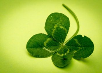 Geluksroute Haarlem 1 en 2 februari