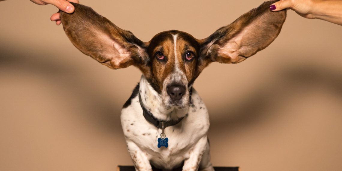 Oor!zaken 19 februari