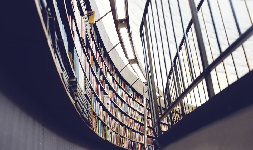 Raad van Cultuur bezorgd over bibliotheken in Nederland