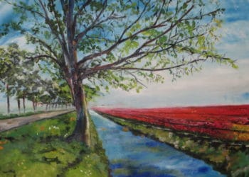 Kunstenaars krijgen podium in het Provinciehuis