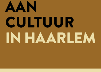 Geef toekomst aan cultuur in Haarlem