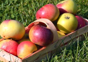 Haarlemmers hebben minder overgewicht dan de rest van Nederland