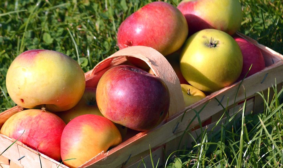 Haarlemmers hebben minder overgewicht dan de rest van Nederland