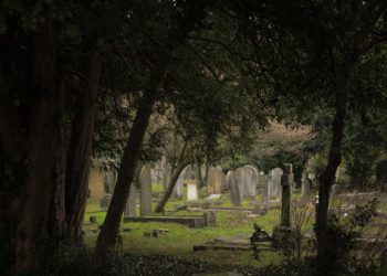 Begraafplaats Westerveld over uitvaartdiensten ten tijden van de coronacrisis