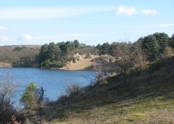 Lak aan de regels; burgemeester laat duingebied ontruimen