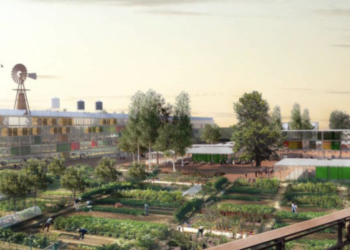 De projecten van Haarlem Food Future