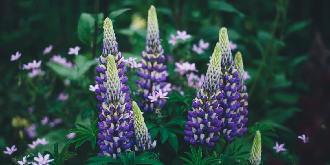 Meer groen langs de Rijksstraatweg