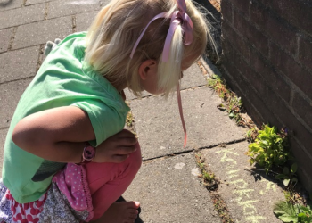 Rage met ‘stoepplantjes’ waait over naar Haarlem