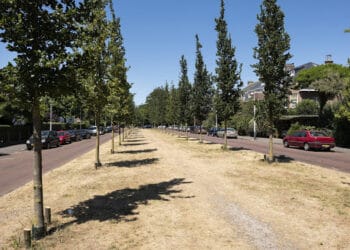 “Droogte in Nederland is een serieus probleem”
