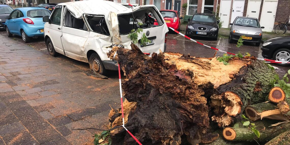 Zeker 30 meldingen van schade door storm Francis