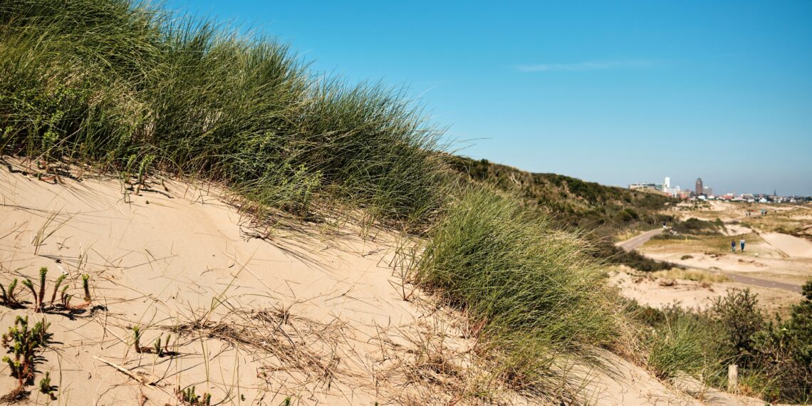 Zomerweekend 2020 – Verslaggever Jordy kijkt bij Tai chi
