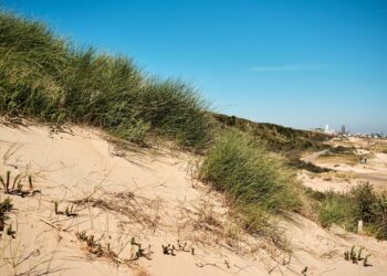 Zomerweekend 2020 – Verslaggever Jordy kijkt bij Tai chi