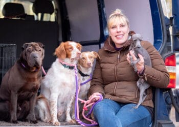 Hoe leer je een hond bepaald gedrag af? – Arianes Spreekuur