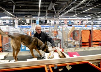 Helft Noord-Hollanders start vanwege corona eerder met Sint- en Kerstaankopen