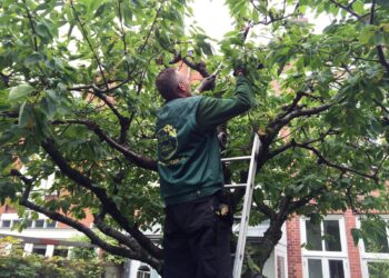 Tuinman-met-de-groene-vingers Raymond vertelt over het project ‘Hovenier Helpt’