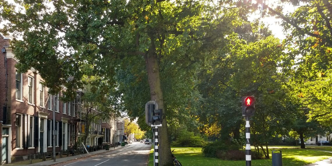 Wist je dat? Hier op zolder bouwt Fokker geen vliegtuig maar een zeilboot