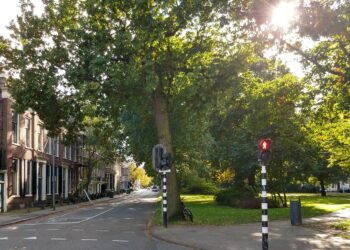 Wist je dat? Hier op zolder bouwt Fokker geen vliegtuig maar een zeilboot