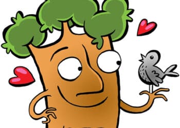 Haarlemse bomenridders:”Er is nog veel te doen”