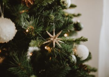 Is het verstandig om nu al een kerstboom te kopen?
