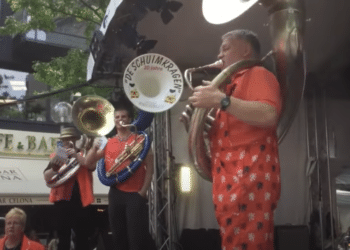 Hoe houden de Schuimkragen het hoofd boven water?