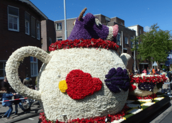 Wist je dat? Haarlem werd van Tulpenstad Bloemenstad