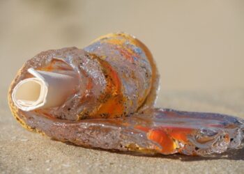 Kunstenaars in coronacrisis