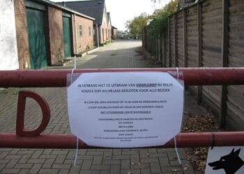 Vogelhospitaal Haarlem dicht wegens vogelgriep