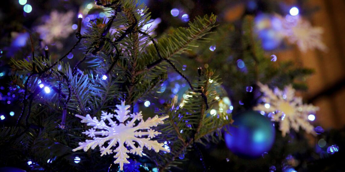 Verkoop van kerstbomen komt aardig op gang