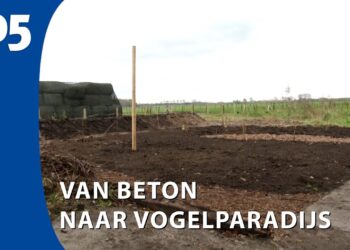 Van beton naar vogelparadijs