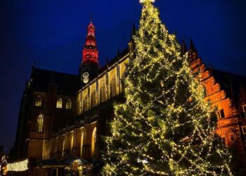 Kerstboom op Grote Markt
