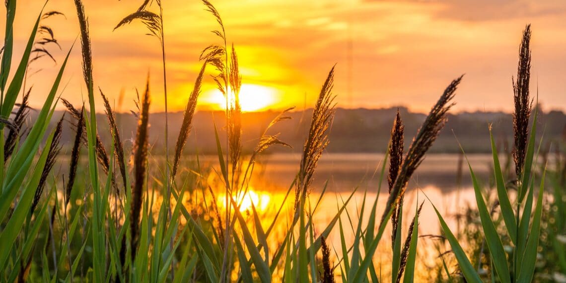 Spaarnwoude doet onderzoek naar waardering recreatiegebieden