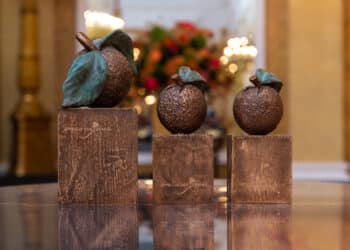 Stemmen voor Appeltjes van Oranje