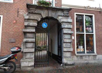 Wist je dat? Zweedse reus eindigt zijn zwerftocht in Haarlem