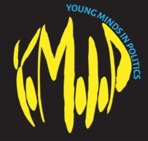 Burgerinitiatief: “Haarlem is te grijs en moet daarom verjongen”