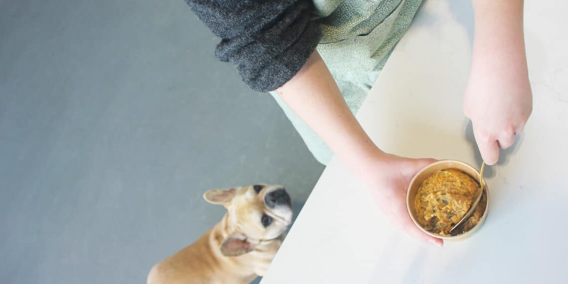 Haarlemse vindt plantaardige hondenbrokken uit