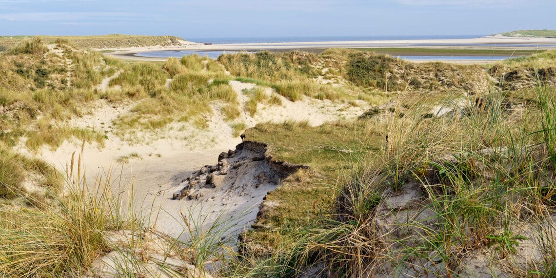 Stichting Duinbehoud: “Heb je tien minuten voor de duinen?”