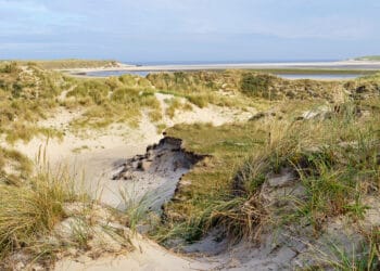 Stichting Duinbehoud: “Heb je tien minuten voor de duinen?”