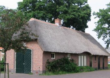 DSS-Kinheim hervat trainingen – “Wij zijn mooi weer spelers”