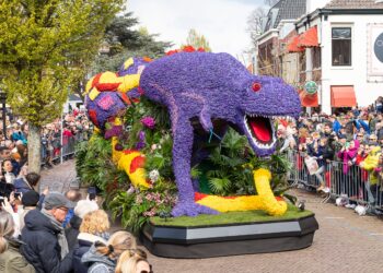 Bloemencorso Bollenstreek deelt 450 bossen tulpen uit