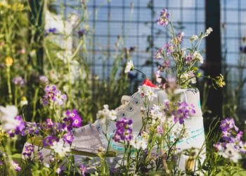 Rommelige tuinen, balkons én vrijwilligers gezocht