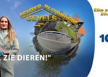 achter bijzondere gevels: Een boerderij | Haarlem105