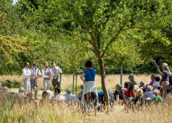 Het Klaterklankenfestival op Elswout gaat al op zaterdag 10 juli van start