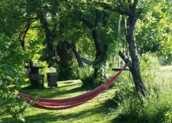 Chef-kok Jopenkerk gaat camping runnen in Roemenië