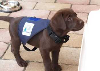 Haarlemse oud-politieagent beschrijft de impact van PTSS in boek