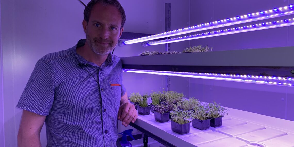 Jens teelt micro-groentes: ”Waanzinnig gezond, maar veel kleiner”