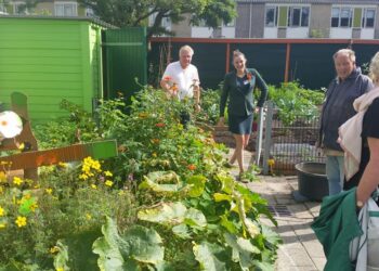 Indischebuurt Noord vergroent