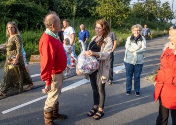 Schouw in Haarlems Reinaldapark om overlast eens en voor altijd aan te pakken
