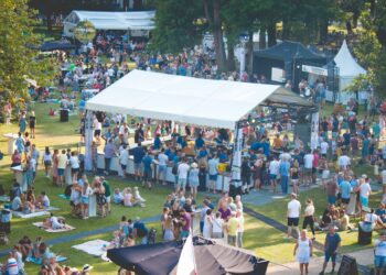 Weer geen Proefpark Haarlem deze zomer: “Sitdown-foodfestival slaat nergens op”