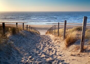 Waar gaan we deze zomer van het strand genieten?
